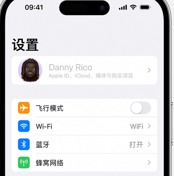 铁锋appleID维修服务iPhone设置中Apple ID显示为灰色无法使用 