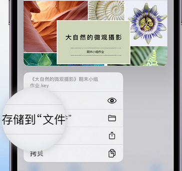 铁锋apple维修中心分享iPhone文件应用中存储和找到下载文件