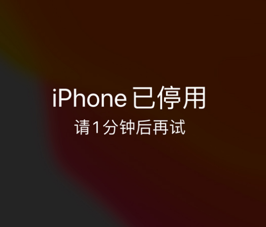 铁锋苹果手机维修分享:iPhone 显示“不可用”或“已停用”怎么办？还能保留数据吗？ 