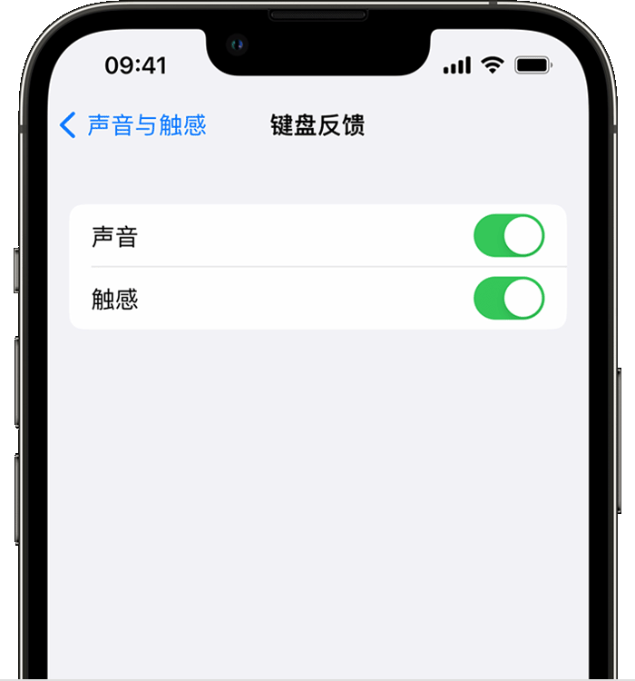 铁锋苹果14维修店分享如何在 iPhone 14 机型中使用触感键盘 