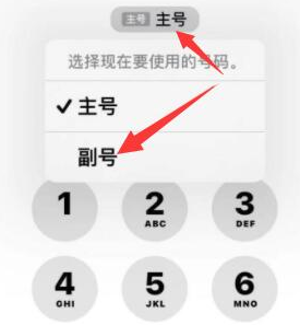 铁锋苹果14维修店分享iPhone 14 Pro Max使用副卡打电话的方法 