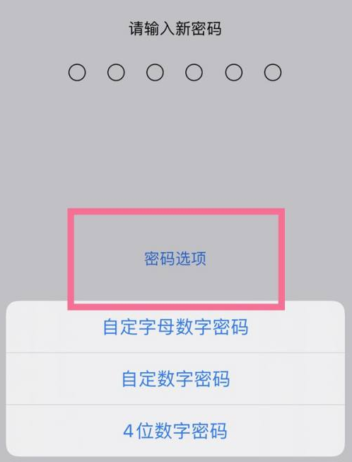 铁锋苹果14维修分享iPhone 14plus设置密码的方法 