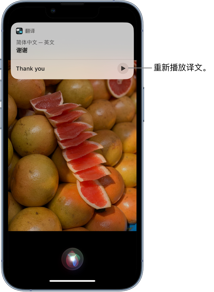 铁锋苹果14维修分享 iPhone 14 机型中使用 Siri：了解 Siri 能帮你做什么 