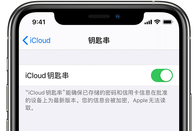 铁锋苹果手机维修分享在 iPhone 上开启 iCloud 钥匙串之后会储存哪些信息 